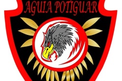 AguiaPotiguar_RN