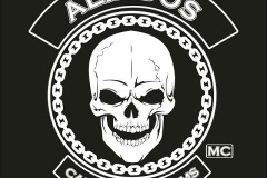 Aliados_MS