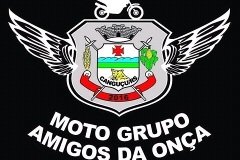 AmigosdaOnca_RS