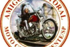 AmigosdoLitoral_SP