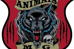 Animais_MG