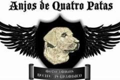 Anjosde4Patas_PE