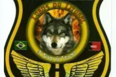 1_1_LobosdoLitoral_PB