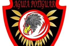 1_AguiaPotiguar_RN