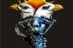1_AguiaRenovadaMG