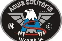 1_AguiaSolitariaDF