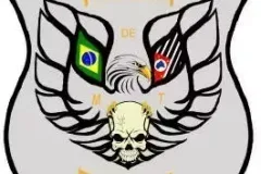1_AguiadeRocha_SP