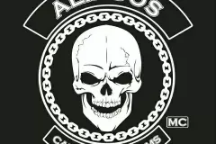 1_Aliados_MS