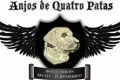 1_Anjosde4Patas_PE