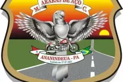 1_ArarasdeAco_PA