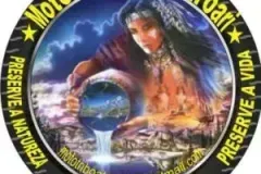 1_Atroari_SE