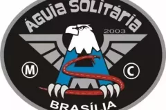AguiaSolitariaDF