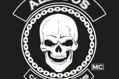 Aliados_MS
