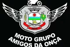 AmigosdaOnca_RS