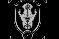 Anarkhos_RN