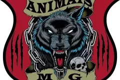 Animais_MG