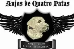 Anjosde4Patas_PE