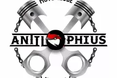 Antilophius_CE