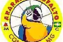 ArarasdoAsfaltoMG
